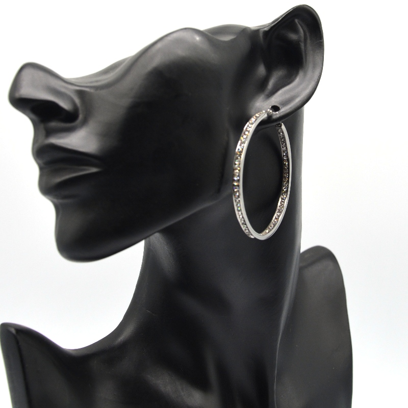 Fashion Jewelry, stainless steel jewelry, stainless steel earrings, Diamond earrings, rhinestones, Zircon Hoop Earrings  rfber0095